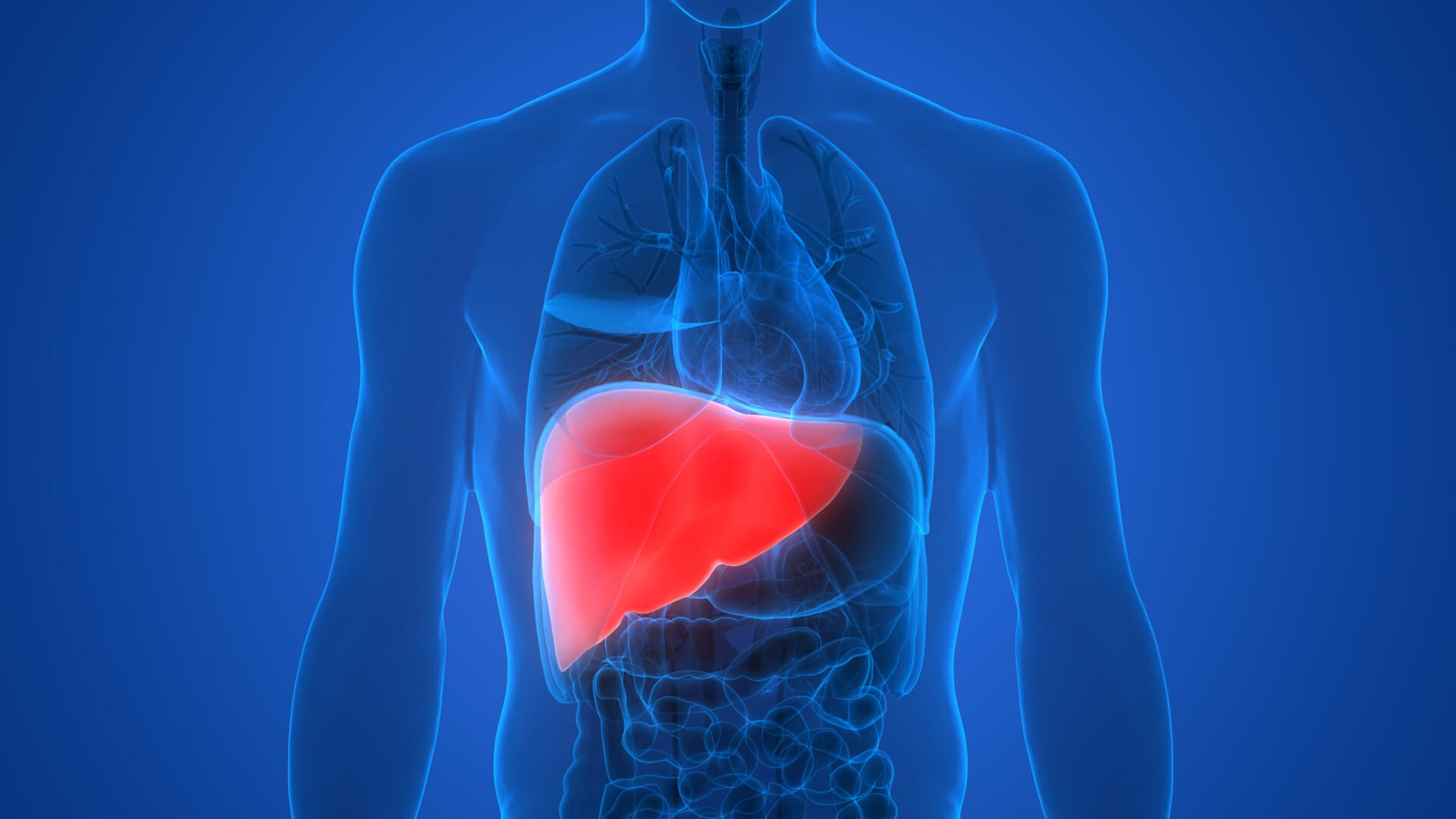 fatty-liver-disease-in-hattiesburg-ms-hattiesburg-gi-associates